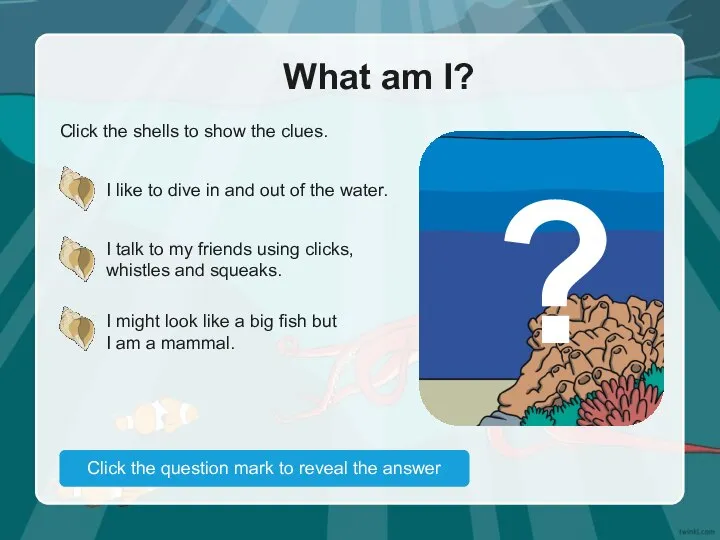 What am I? Click the shells to show the clues. I like
