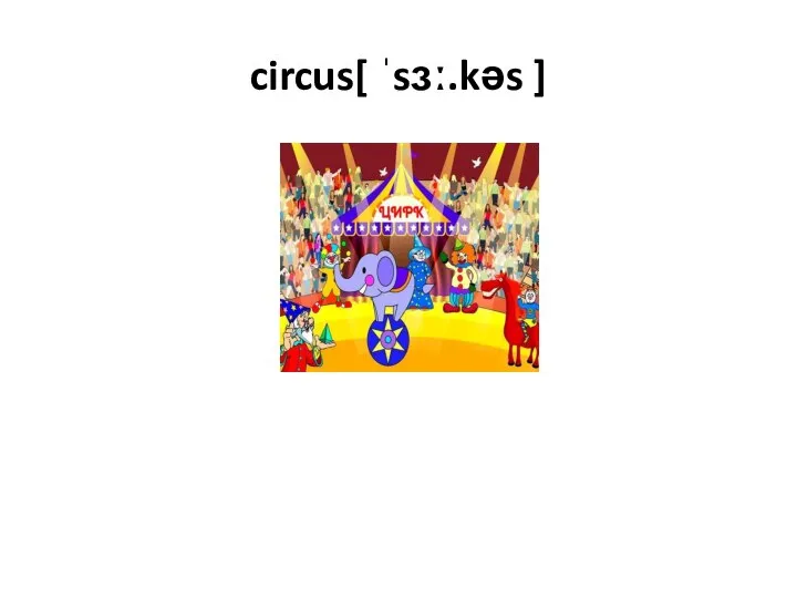 circus[ ˈsɜː.kəs ]