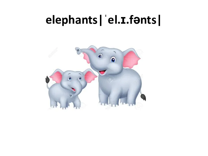 elephants|ˈel.ɪ.fənts|