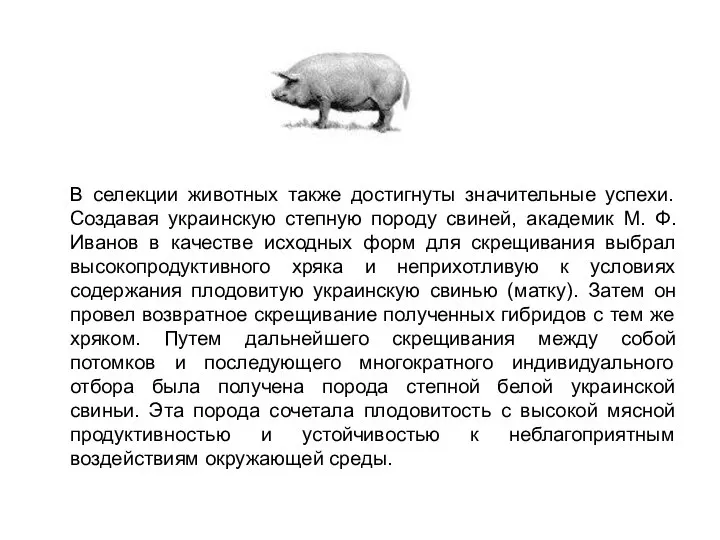 В селекции животных также достигнуты значительные успехи. Создавая украинскую степную породу свиней,
