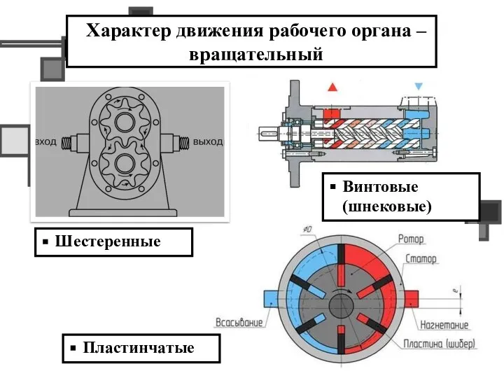 Характер движения рабочего органа – вращательный Шестеренные Винтовые (шнековые) Пластинчатые