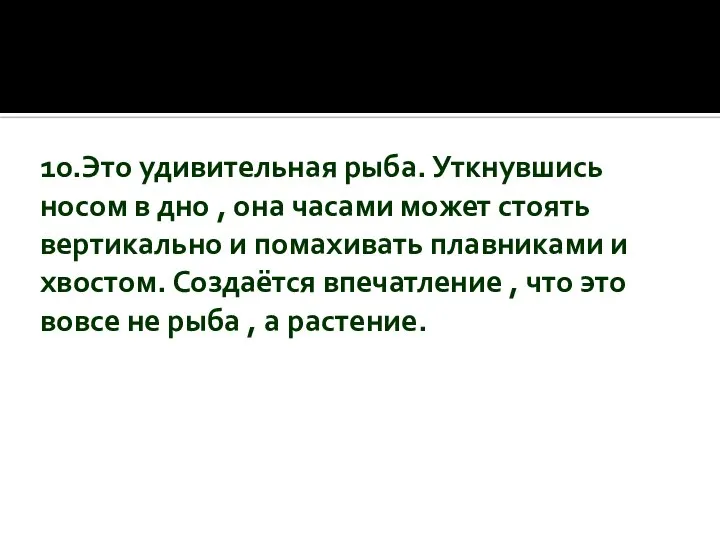 10.Это удивительная рыба. Уткнувшись носом в дно , она часами может стоять