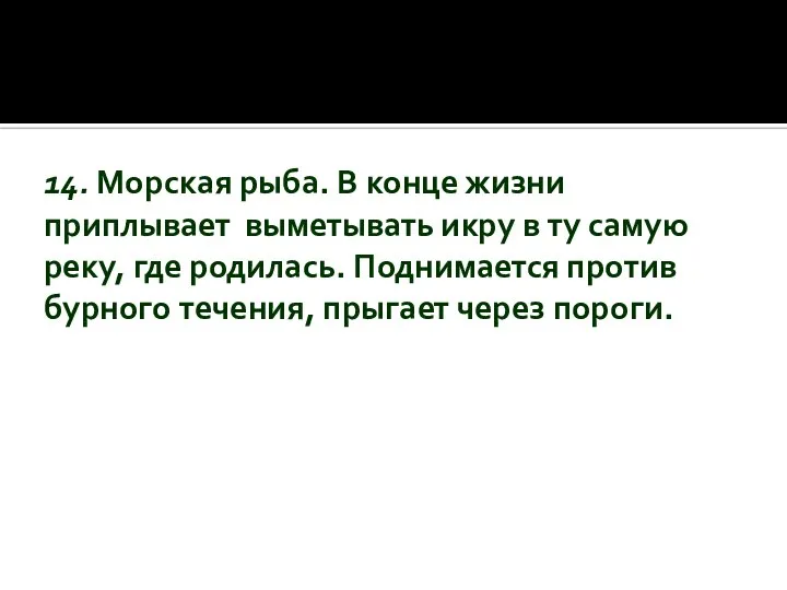 14. Морская рыба. В конце жизни приплывает выметывать икру в ту самую