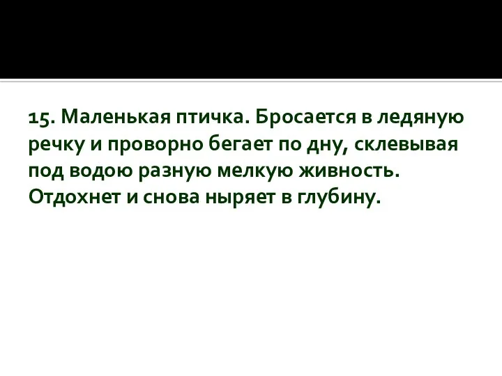 15. Маленькая птичка. Бросается в ледяную речку и проворно бегает по дну,