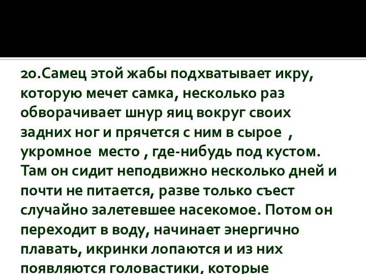 20.Самец этой жабы подхватывает икру, которую мечет самка, несколько раз обворачивает шнур