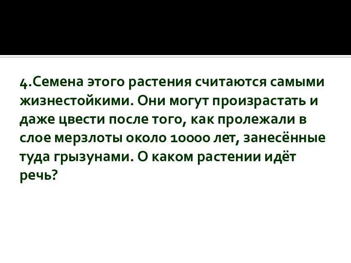 4.Семена этого растения считаются самыми жизнестойкими. Они могут произрастать и даже цвести