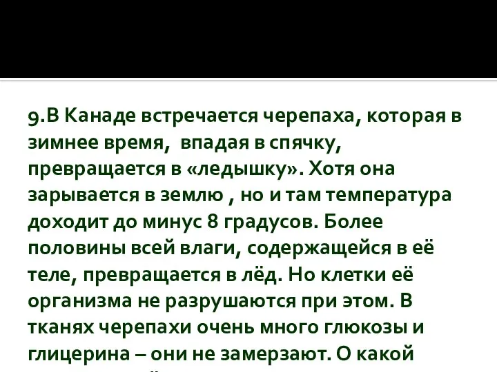 9.В Канаде встречается черепаха, которая в зимнее время, впадая в спячку, превращается