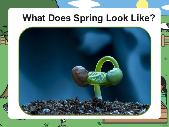 What Does Spring Look Like?
