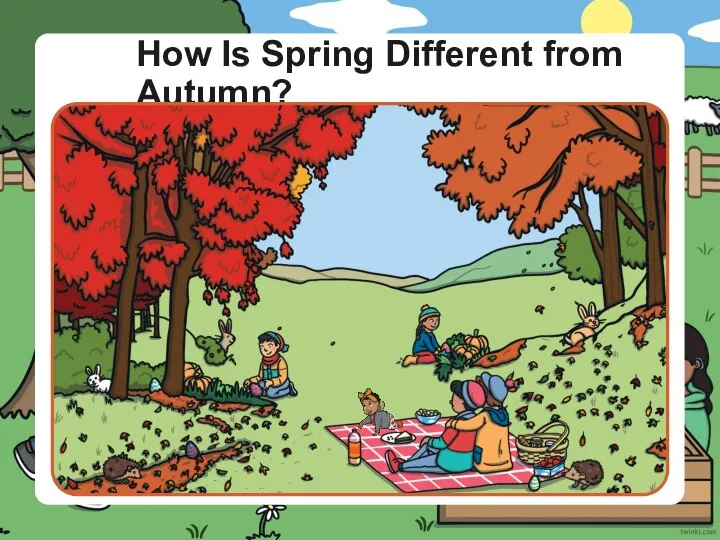 How Is Spring Different from Autumn?