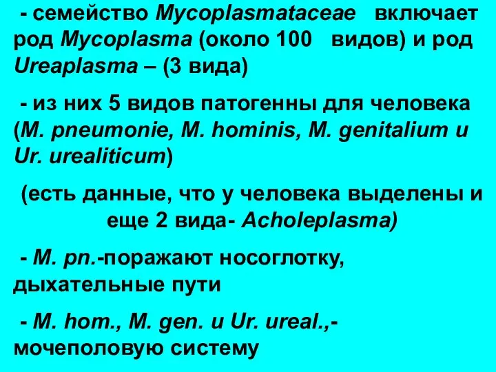 - семейство Mycoplasmataceae включает род Mycoplasma (около 100 видов) и род Ureaplasma