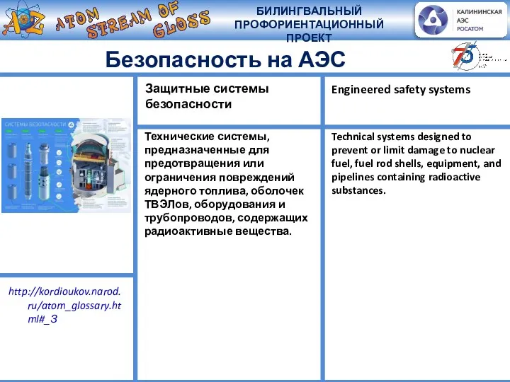 Безопасность на АЭС Технические системы, предназначенные для предотвращения или ограничения повреждений ядерного