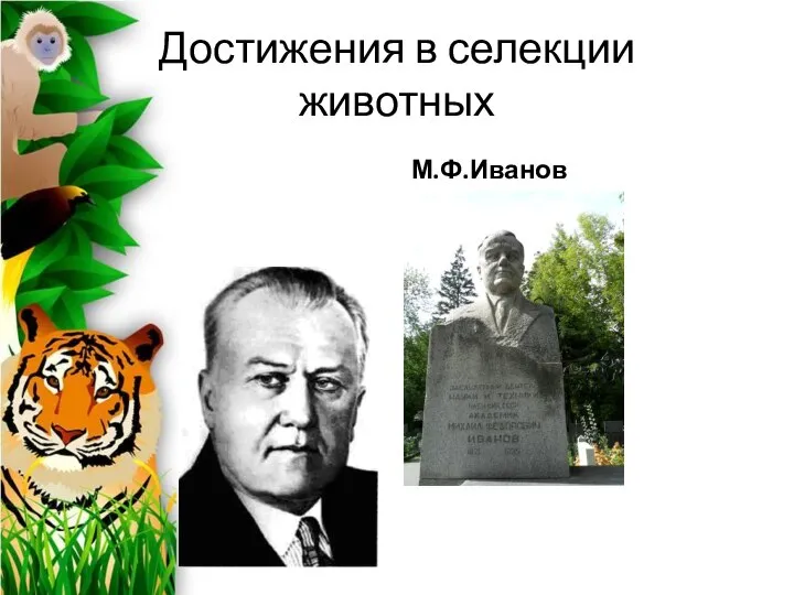 Достижения в селекции животных М.Ф.Иванов