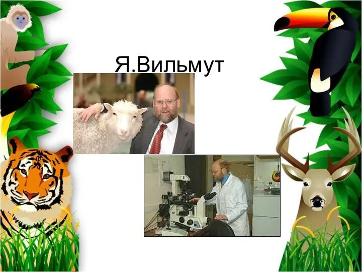 Я.Вильмут