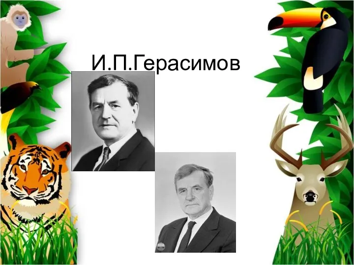 И.П.Герасимов