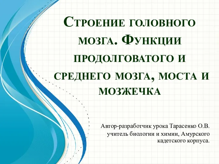 Строение головного мозга. Функции продолговатого и среднего мозга, моста и мозжечка Автор-разработчик