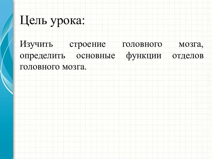 Цель урока: Изучить строение головного мозга, определить основные функции отделов головного мозга.