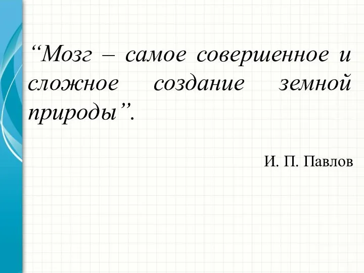 “Мозг – самое совершенное и сложное создание земной природы”. И. П. Павлов