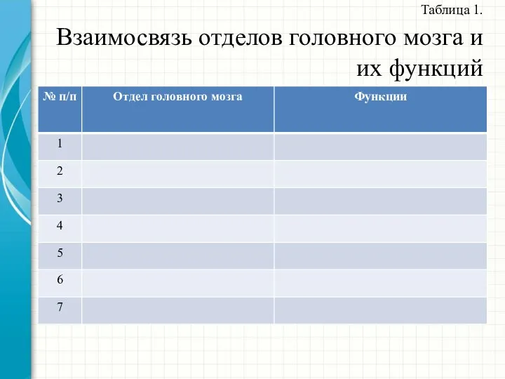 Таблица 1. Взаимосвязь отделов головного мозга и их функций