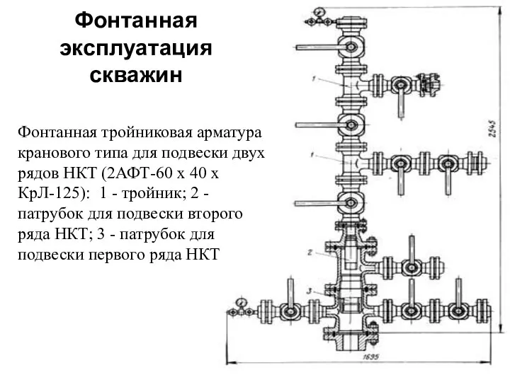 Фонтанная эксплуатация скважин Фонтанная тройниковая арматура кранового типа для подвески двух рядов