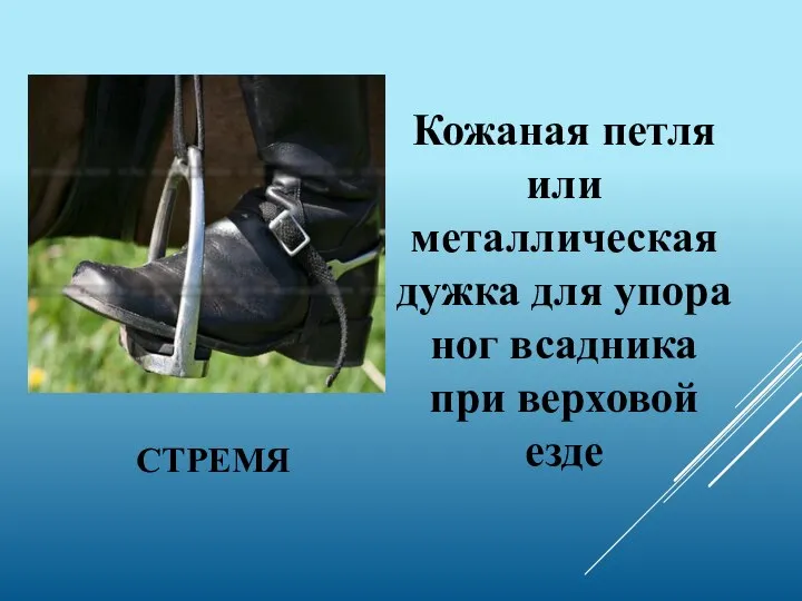 СТРЕМЯ Кожаная петля или металлическая дужка для упора ног всадника при верховой езде
