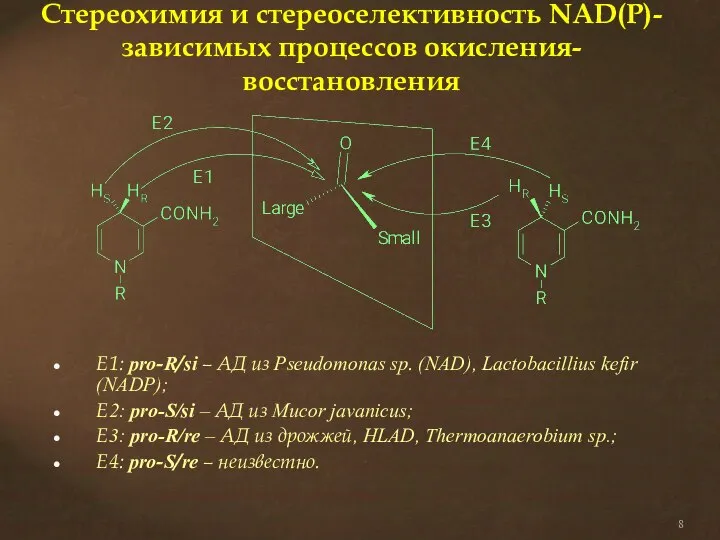 Стереохимия и стереоселективность NAD(P)-зависимых процессов окисления-восстановления Е1: pro-R/si – АД из Pseudomonas