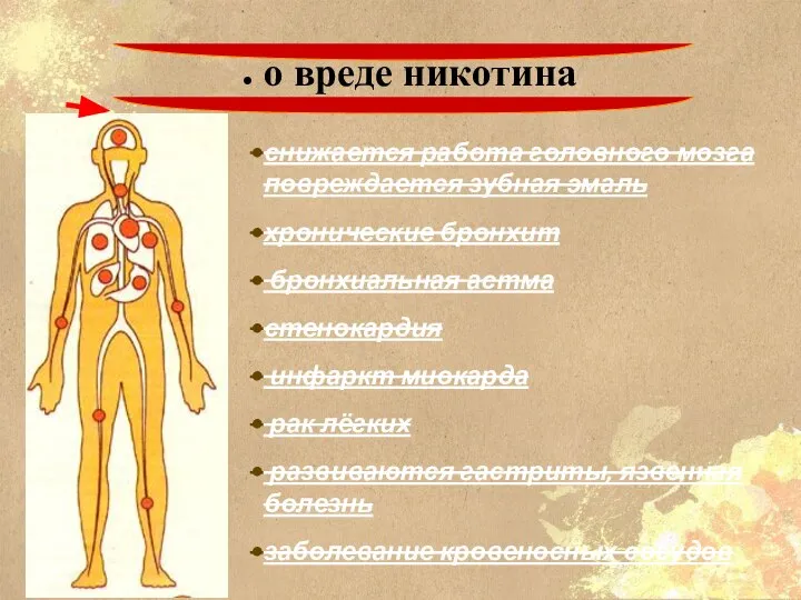 о вреде никотина снижается работа головного мозга повреждается зубная эмаль хронические бронхит