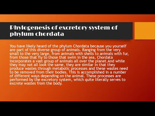 Phylogenesis of excretory system of phylum chordata You have likely heard of