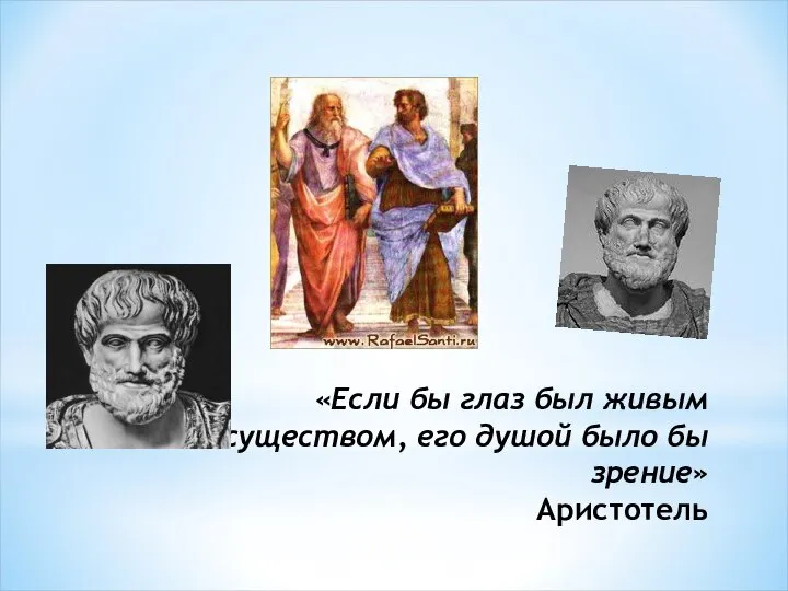 «Если бы глаз был живым существом, его душой было бы зрение» Аристотель