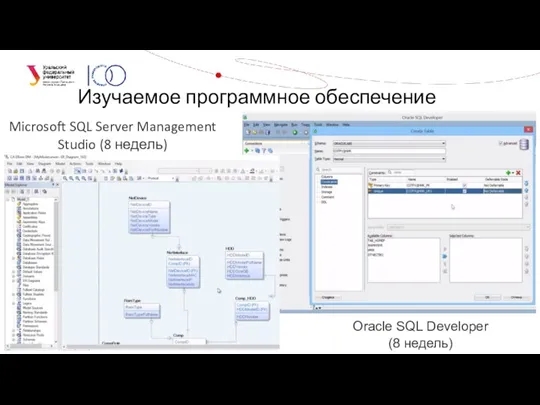 Изучаемое программное обеспечение Oracle SQL Developer (8 недель) Microsoft SQL Server Management Studio (8 недель)