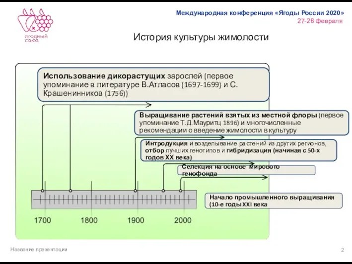 История культуры жимолости Название презентации Использование дикорастущих зарослей (первое упоминание в литературе