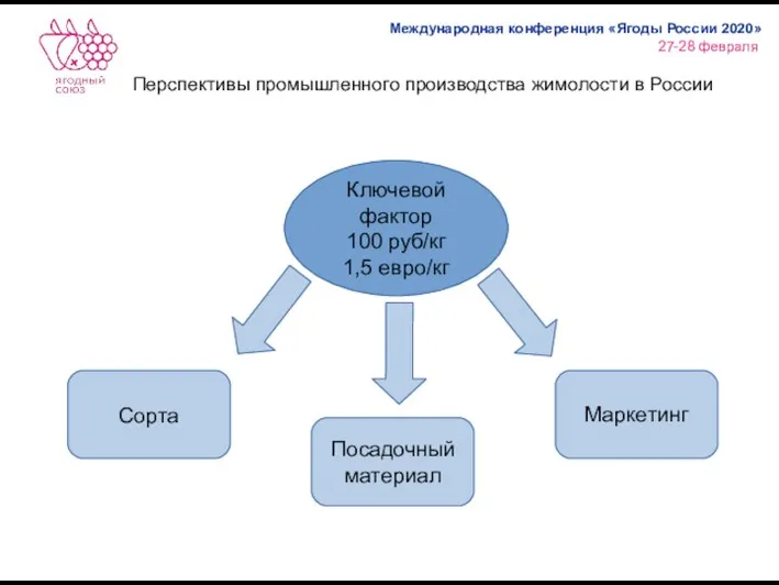 Перспективы промышленного производства жимолости в России Ключевой фактор 100 руб/кг 1,5 евро/кг Посадочный материал Сорта Маркетинг