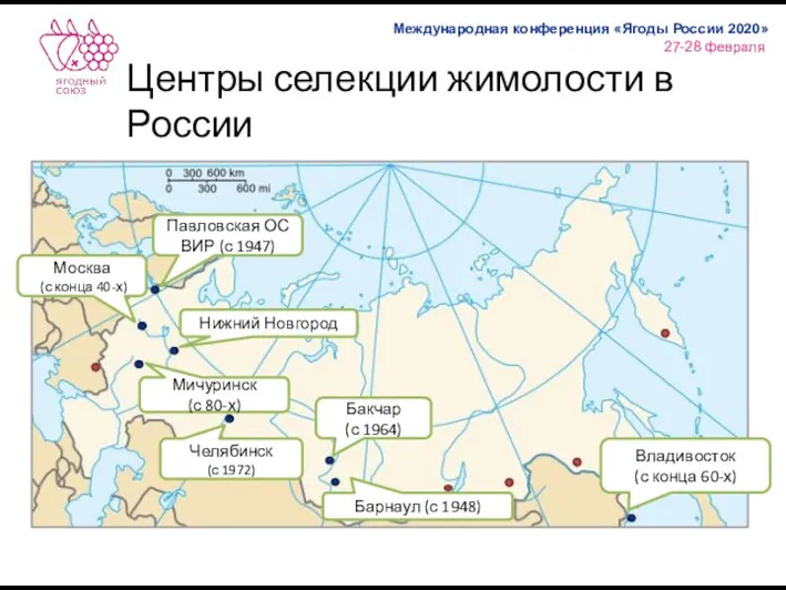 Центры селекции жимолости в России Владивосток (с конца 60-х) Павловская ОС ВИР