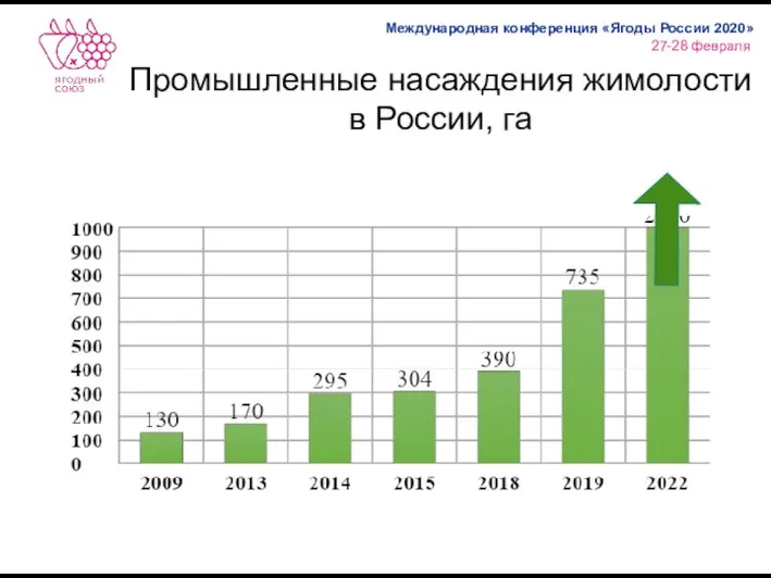 Промышленные насаждения жимолости в России, га