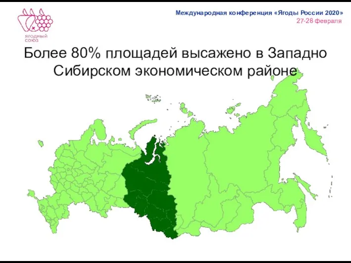 Более 80% площадей высажено в Западно Сибирском экономическом районе