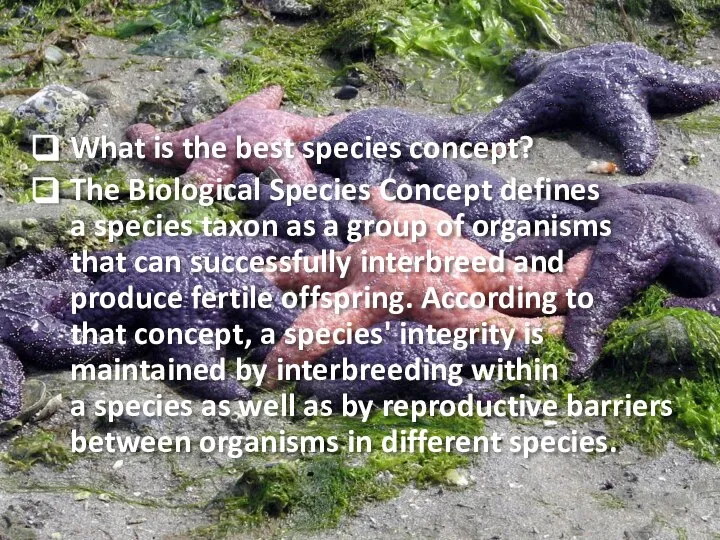 What is the best species concept? The Biological Species Concept defines a