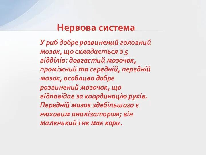 У риб добре розвинений головний мозок, що складається з 5 відділів: довгастий