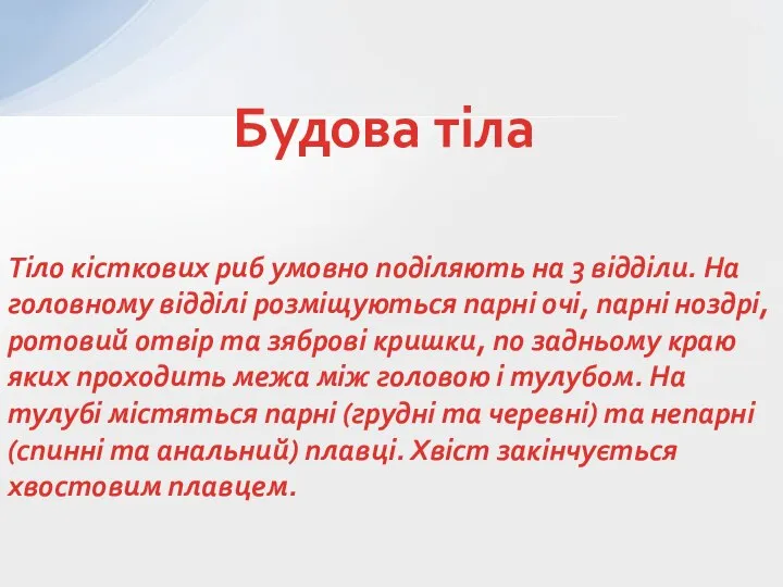 Тіло кісткових риб умовно поділяють на 3 відділи. На головному відділі розміщуються