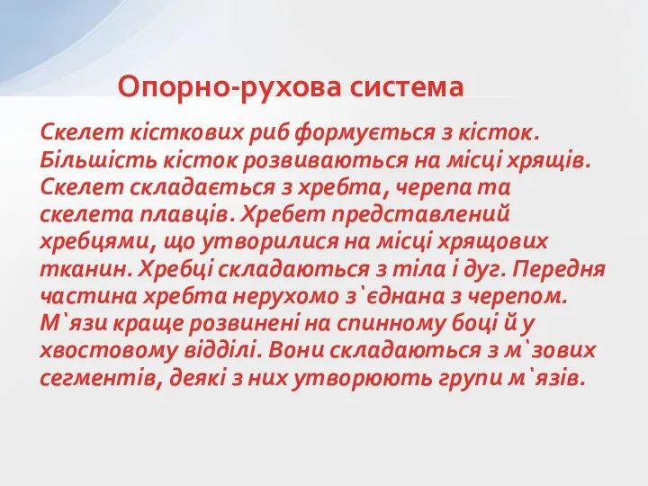 Скелет кісткових риб формується з кісток. Більшість кісток розвиваються на місці хрящів.