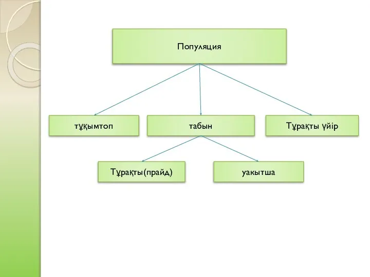 Популяция