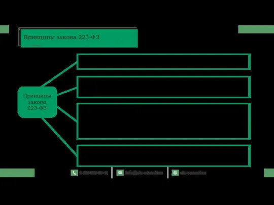 Принципы закона 223-ФЗ Информационная открытость закупки; Равноправие, справедливость, отсутствие дискриминации и необоснованных