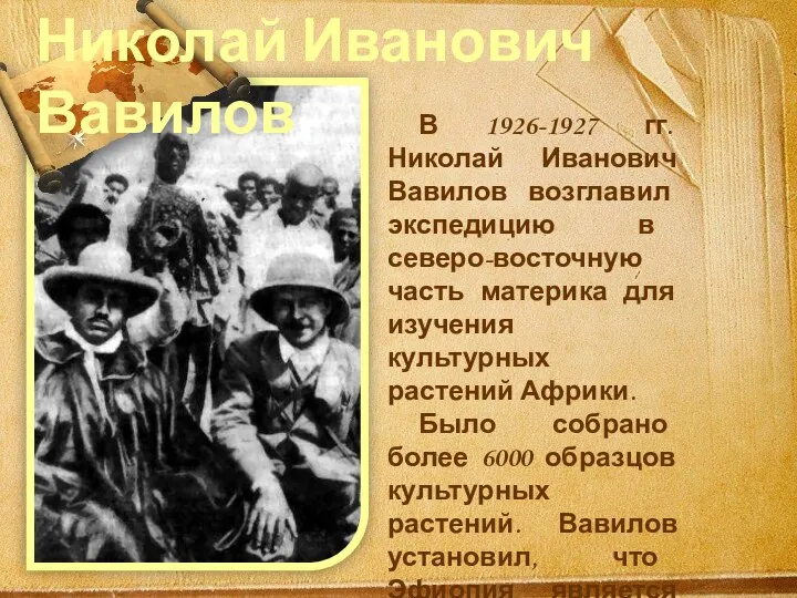 В 1926-1927 гг. Николай Иванович Вавилов возглавил экспедицию в северо-восточную часть материка