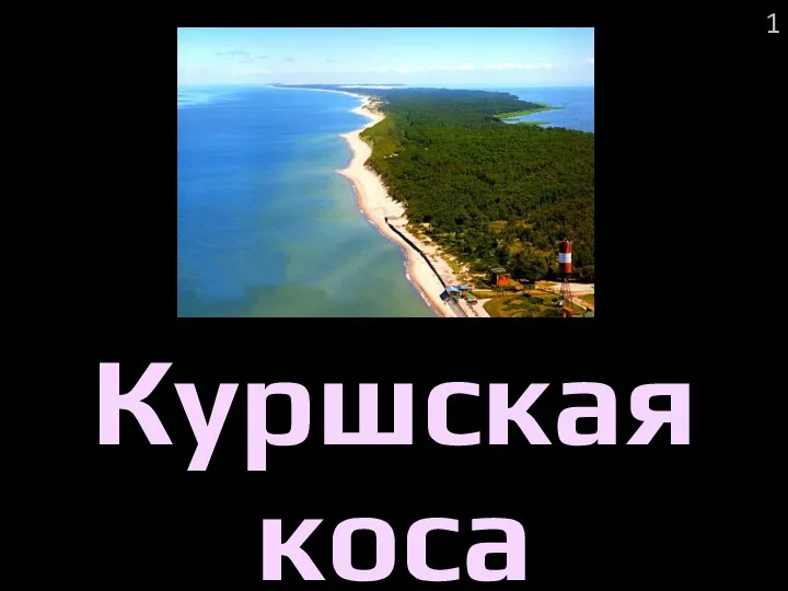 1 Куршская коса