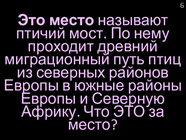 Это место называют птичий мост. По нему проходит древний миграционный путь птиц