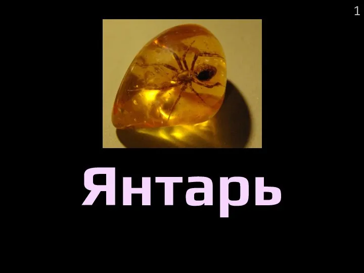 1 Янтарь