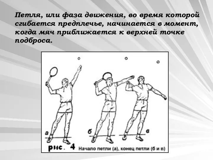 Петля, или фаза движения, во время которой сгибается предплечье, начинается в момент,