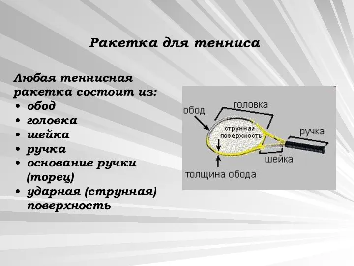 Любая теннисная ракетка состоит из: обод головка шейка ручка основание ручки (торец)