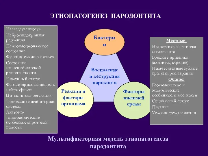 ЭТИОПАТОГЕНЕЗ ПАРОДОНТИТА Мультифакторная модель этиопатогенеза пародонтита Наследственность Нейро-эндокринная регуляция Психоэмоциональное состояние Функция