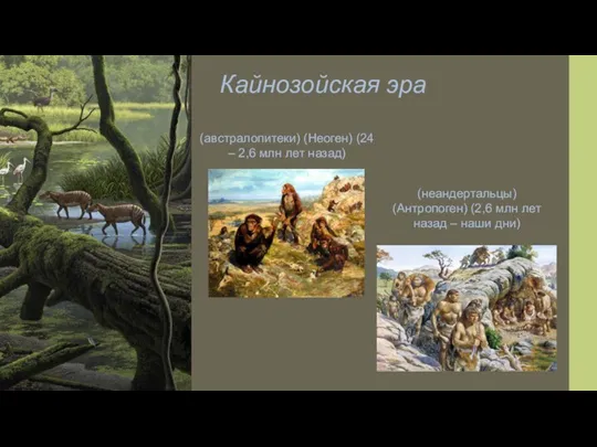 Кайнозойская эра (австралопитеки) (Неоген) (24 – 2,6 млн лет назад) (неандертальцы) (Антропоген)