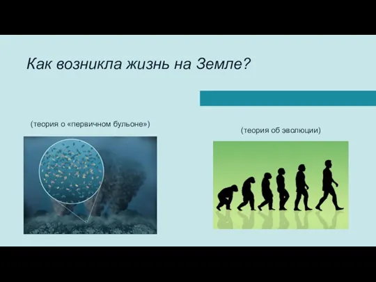 Как возникла жизнь на Земле? (теория о «первичном бульоне») (теория об эволюции)