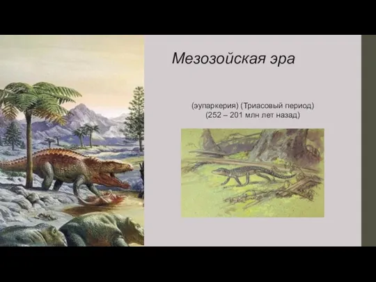 Мезозойская эра (эупаркерия) (Триасовый период) (252 – 201 млн лет назад)